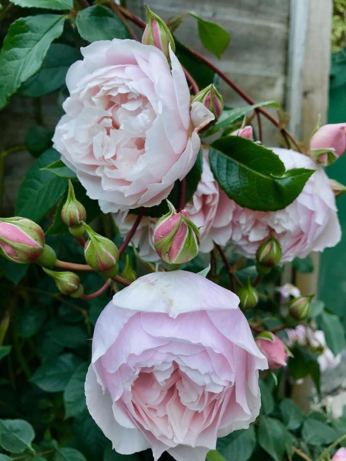 Key Cottage, Sleeps 8 Brimscombe